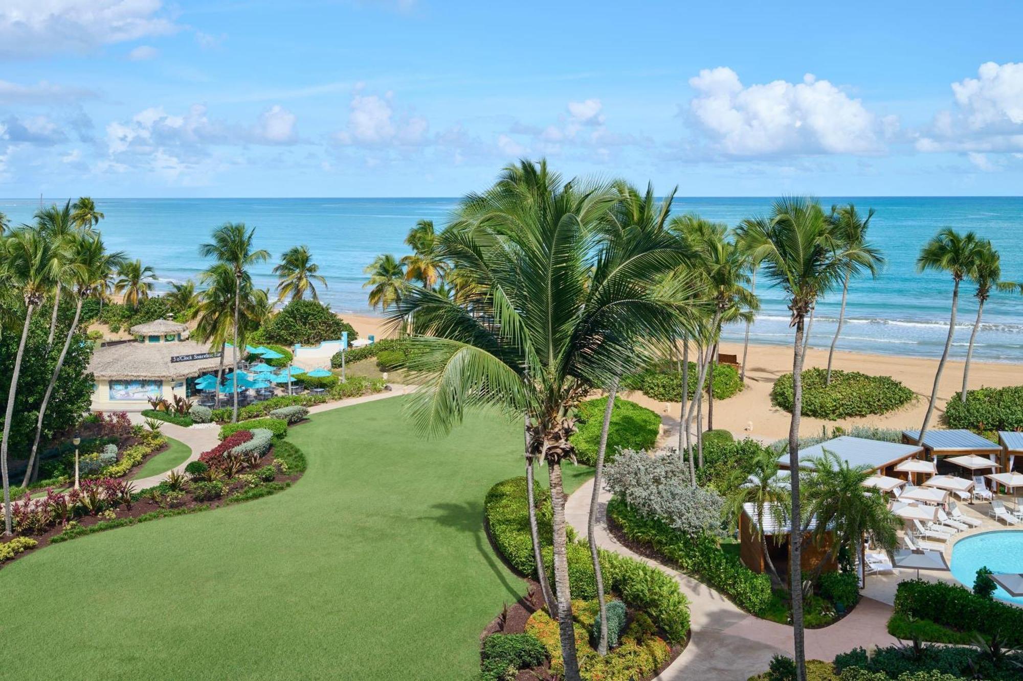 Suite Ocean View,1773760042:JPEG