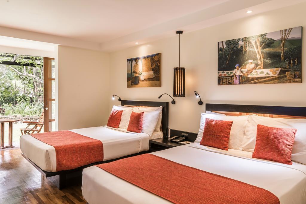 Double Room with Ocean View,442386072:JPEG