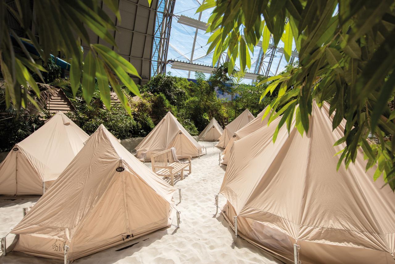 2-Person Tent,670035681:JPEG