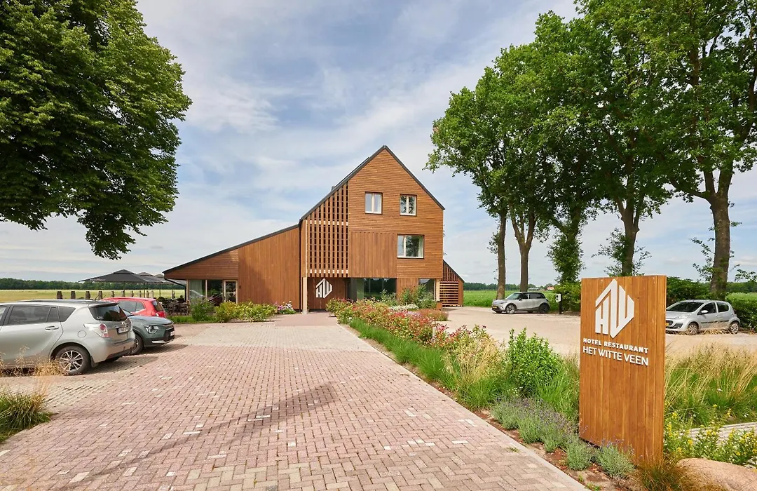 Het Witteveen-1