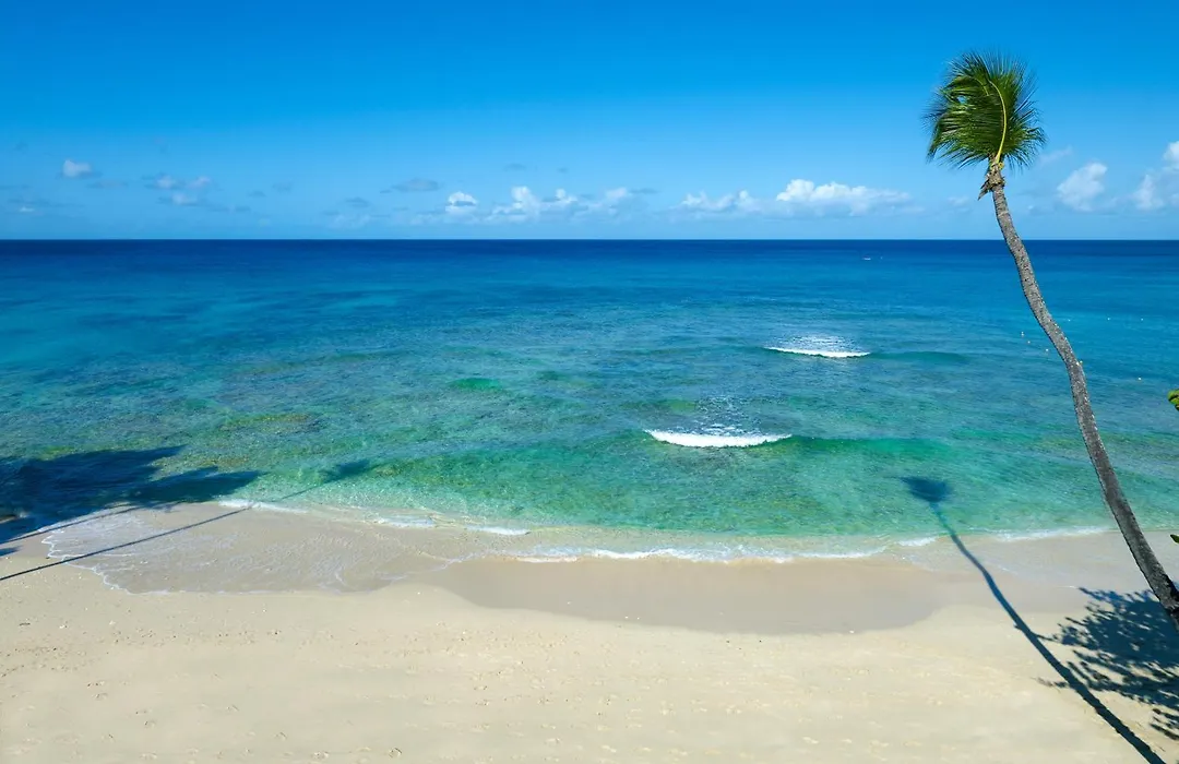 Tamarind, Barbados, An Autograph Collection All-Inclusive Resort (Adults Only)-1