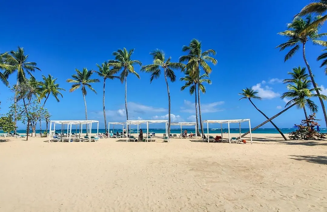 Emotions By Hodelpa Puerto Plata-1