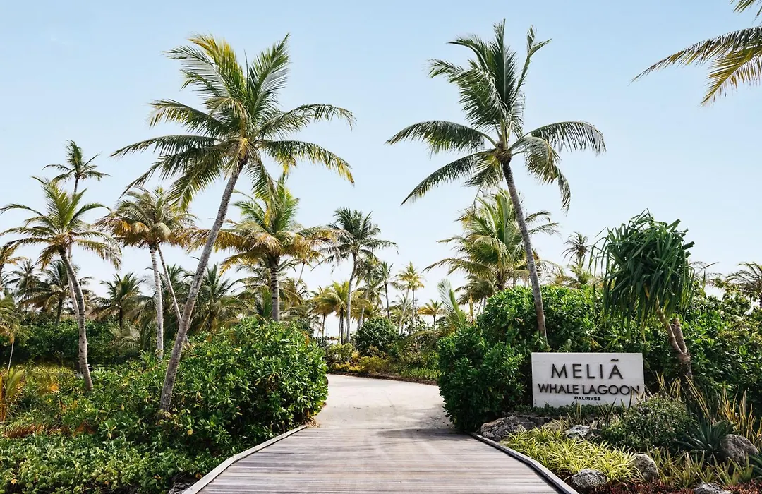 Melia Whale Lagoon Maldivas-1