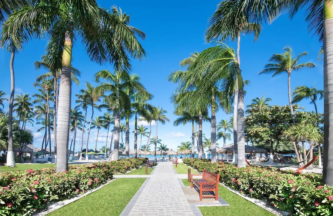 All Inclusive Holiday Inn Resort Aruba - Beach Resort & Casino By Ihg-1
