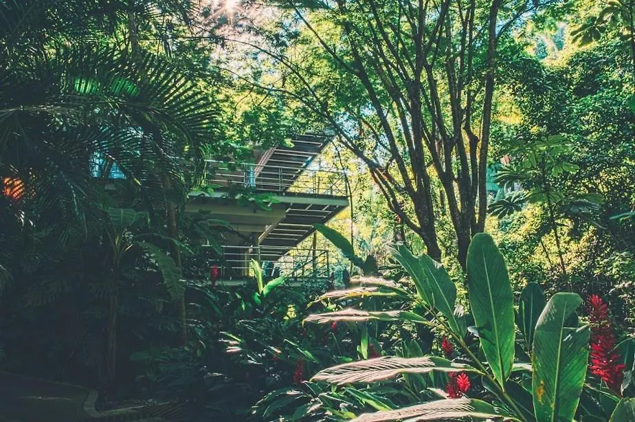 Beyond: Yoga Retreat-1
