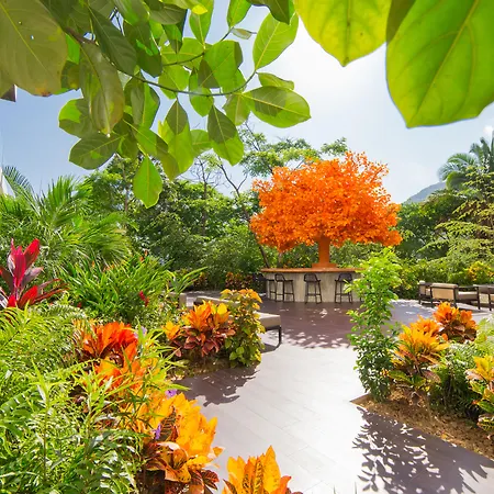 Hotel Mousai - Adults Only Puerto Vallarta-2