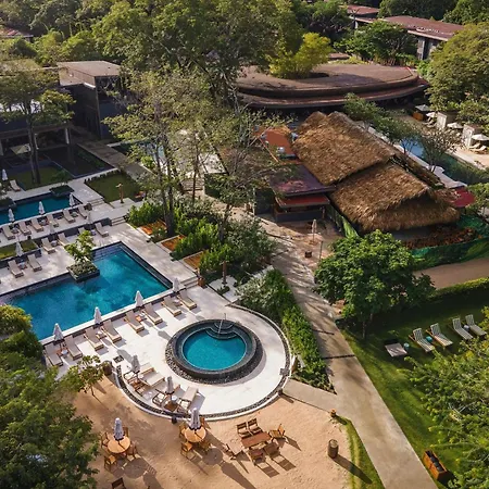 El Mangroove Papagayo, Autograph Collection-2