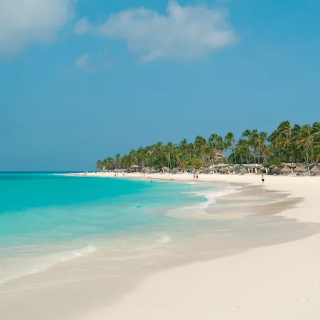 Divi Aruba All Inclusive-3