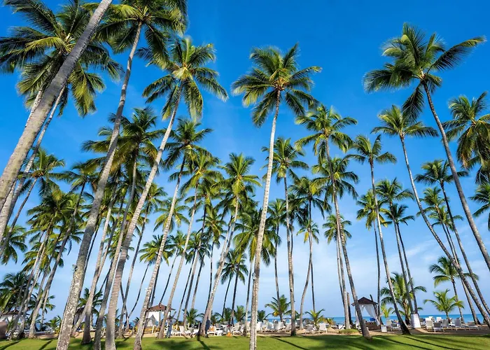 Viva V Samana By Wyndham, A Trademark Adults All Inclusive Las Terrenas