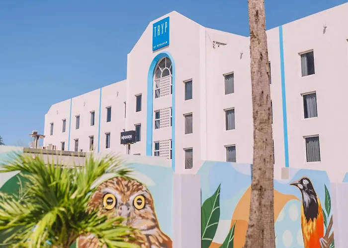 Tryp By Wyndham Aruba (Adults Only) Hotel Palm Beach