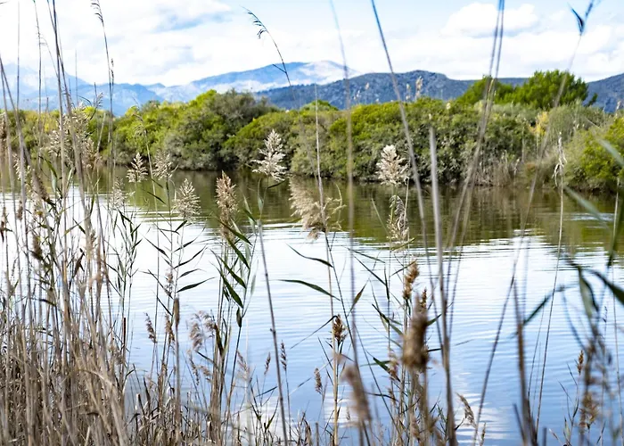 Eix Lagotel Holiday Resort Playa de Muro 