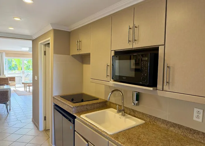 Bougainvillea Barbados Christ Church