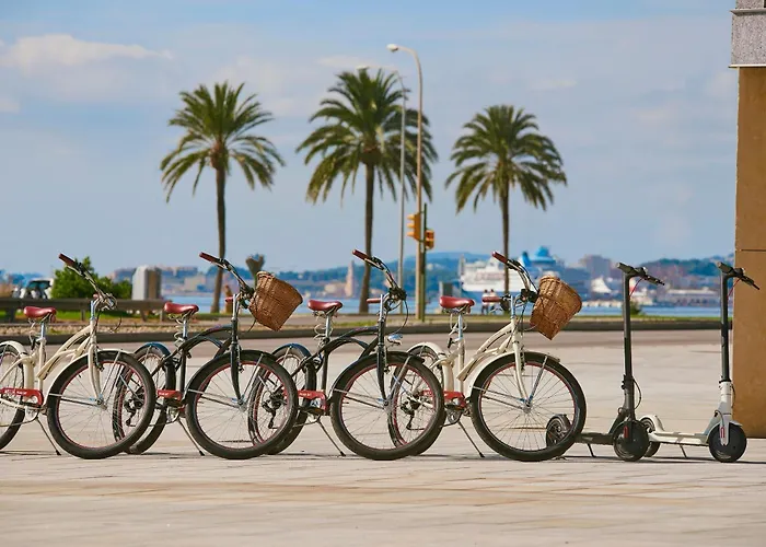 Sol Arona Tenerife Los Cristianos 