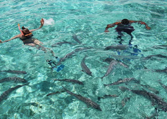 Matachica Resort & Spa - Adults Only San Pedro 
