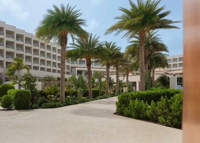 Joia Aruba By Iberostar Hotel Palm Beach