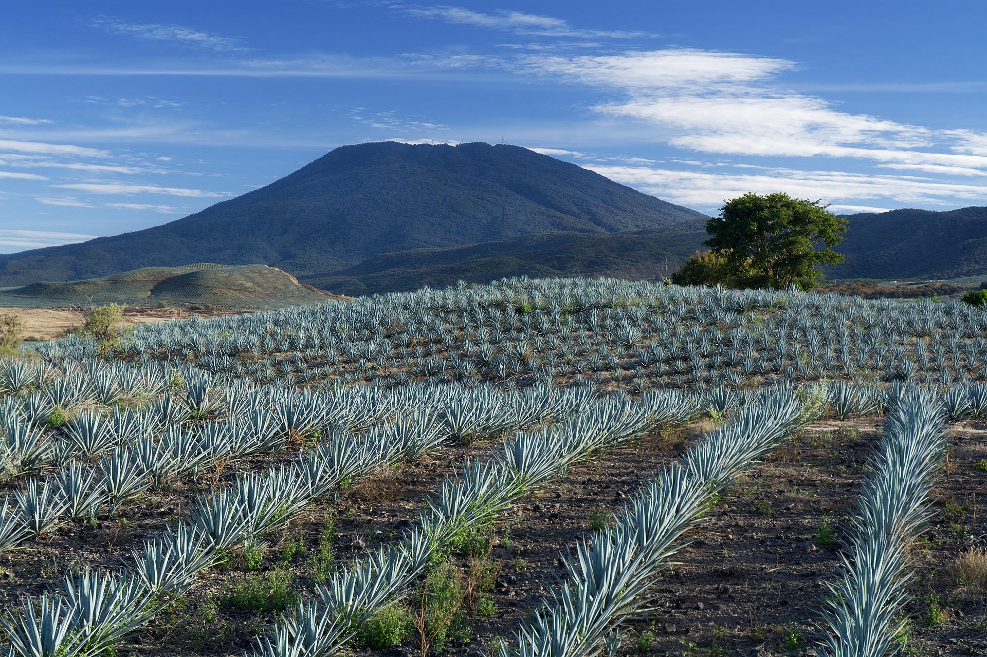 Jalisco